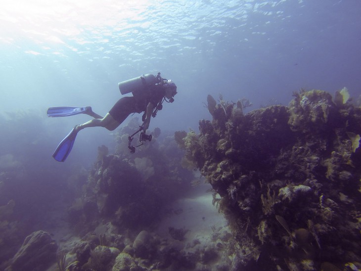 Persona buceando debajo del mar en la isla de la bahía Utila en Honduras 