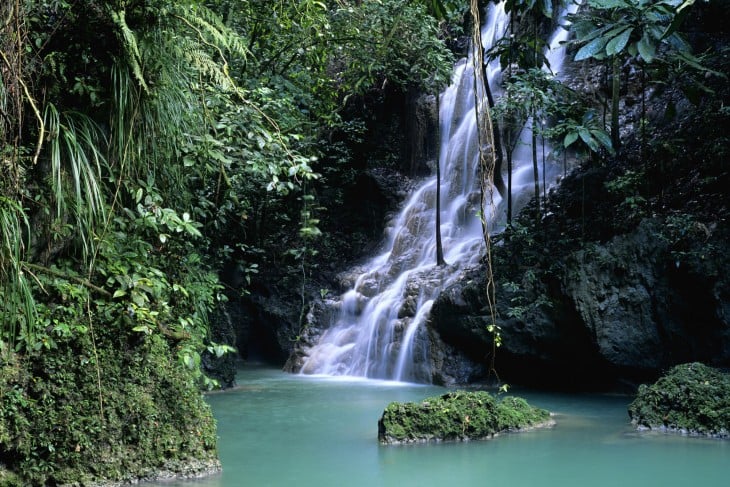 Somerset Falls in rainforest, Port Antonio, Jamaica