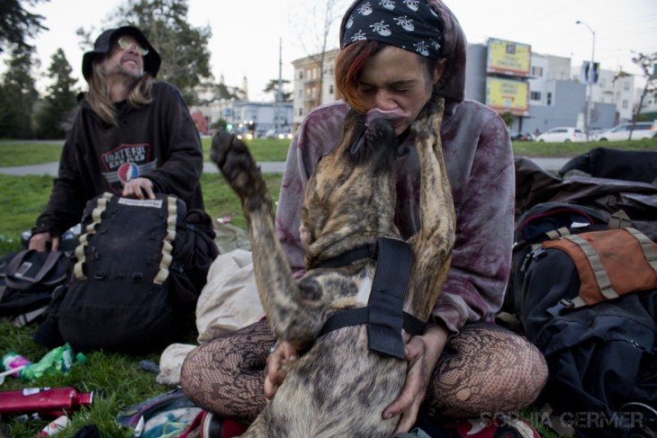 chica sentada en el césped mientras su perro lame su nariz 