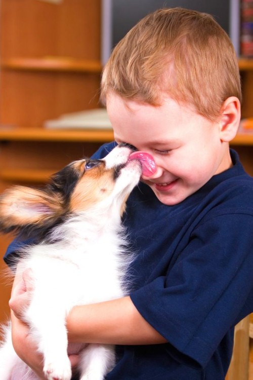 perro lamiendo la cara de un niño 