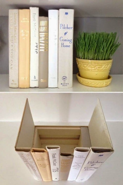 superficie de una caja adornada con libros a su alrededor junto a una planta 