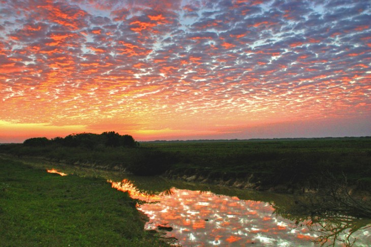 ATARDECER EN LOS LLANOS VENEZUELA