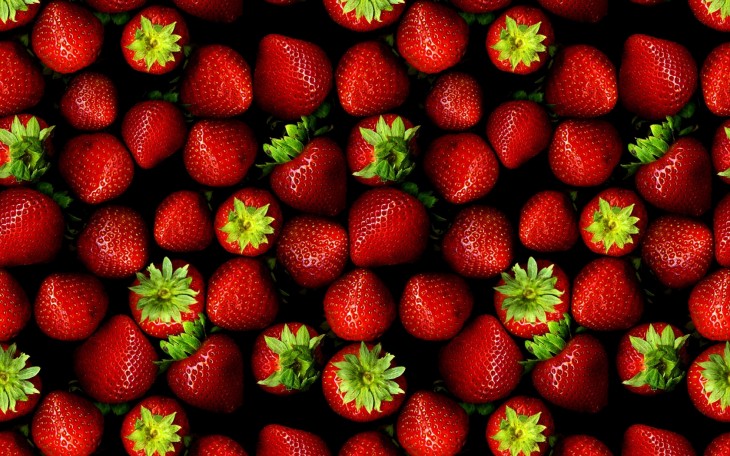 fresas de hoy todas cultivadas