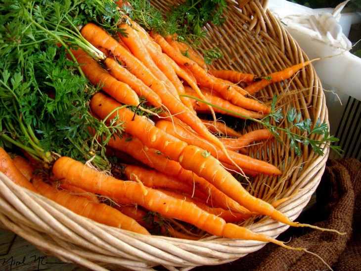 zanahorias de ahora