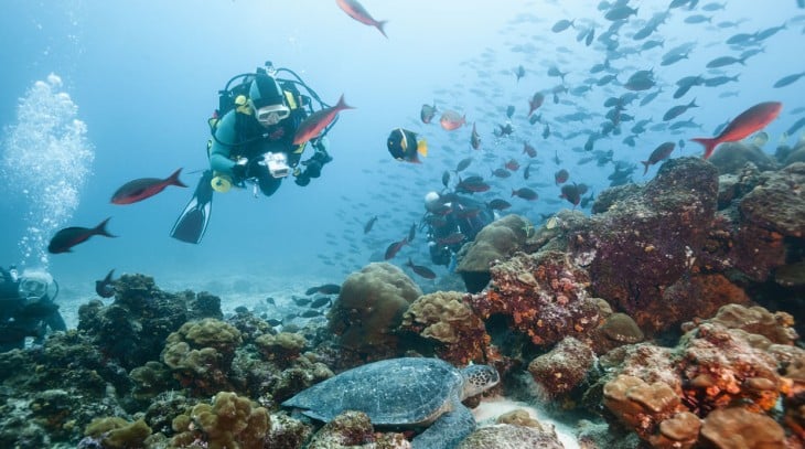 buceo en islas galápagos