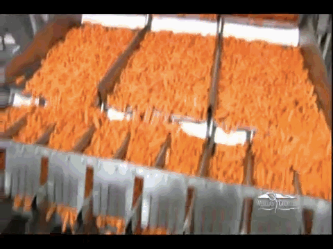 GIF de una maquina que hace pequeñas las zanahorias 