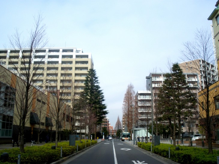 zona de paseo suginami tokio