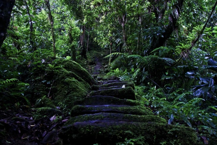 LA CIUDAD PERDIDA CUENTA CON MÁS DE 1200 ESCALONES EN SU ESTRUCTURA