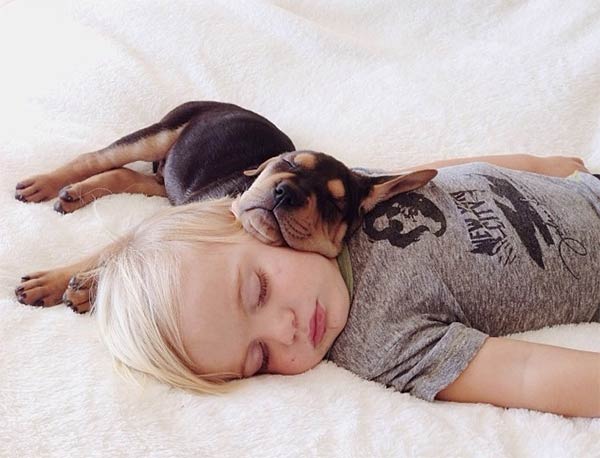 niño duerme con perrito sobre su cabeza