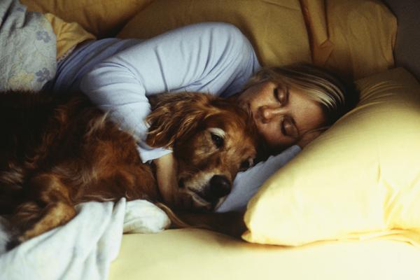 perro despierto mientras su dueña duerme