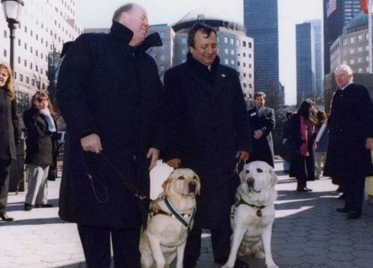 salty y roselle los lazarillos que salvaron a sus dueños del ataque 9/11