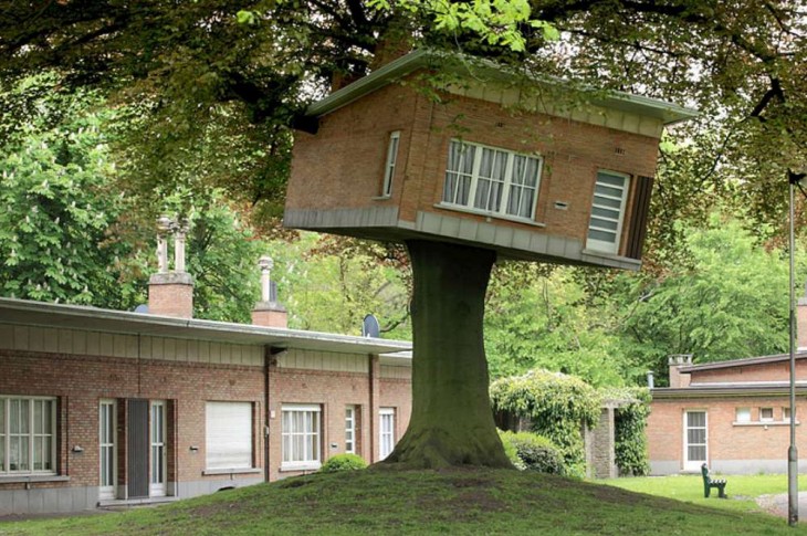 otra casa del arbol en un asilo