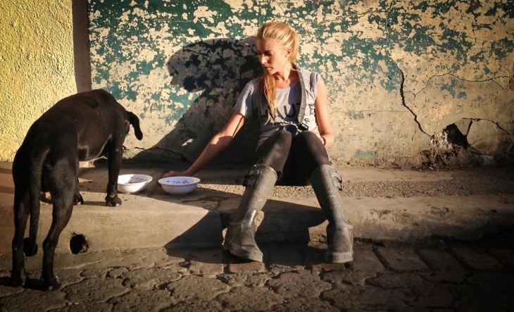 Mujer rescatando a perros de la calle