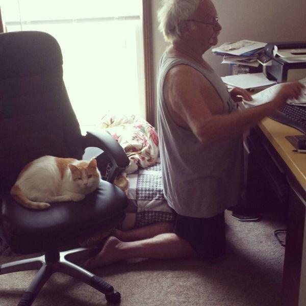 fotografía de un gato sentado en una silla y un hombre hincado ante un escritorio 