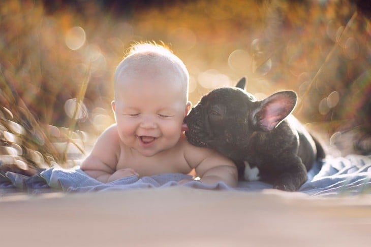 Pequeño bebé a lado de su pequeño cachorro bulldog francés 