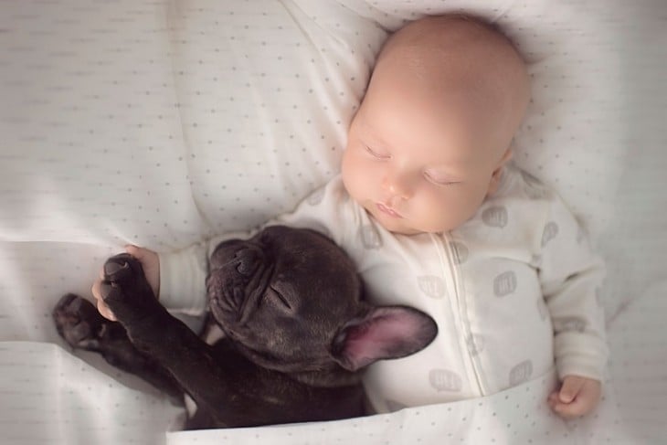 Cachorro y un niño dormidos en una cama