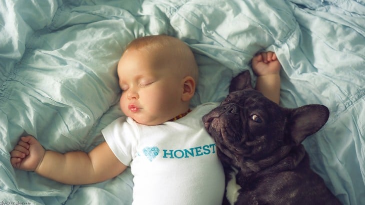 bulldog francés cuidando a un bebé que esta dormido 