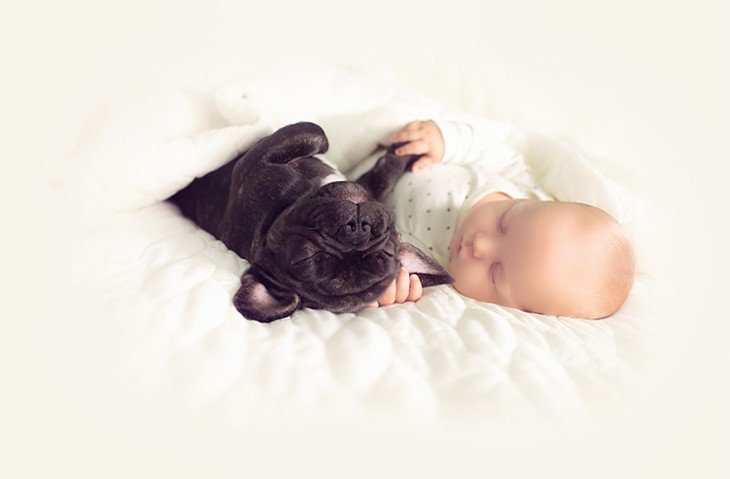 un pequeño bebé agarrando la pata  de un perro dormidos en una cama 