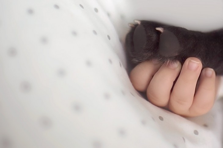 Pata de un perro sosteniendo la mano de un bebé 