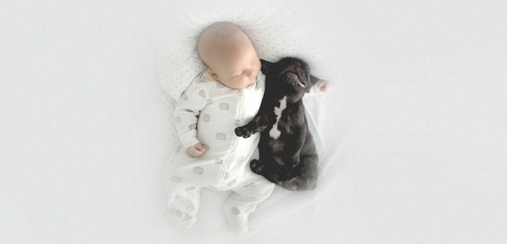 un niño a lado de su perro abrazados y dormidos en una cama 