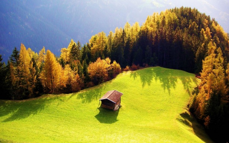 Casa ubicada cerca de un paisaje verde y rodeado de árboles 