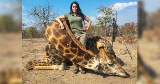 Incluso después de que se hiciera viral y causara indignación la muerte del león Cecil en manos del dentista estadounidense Walter James Palmer, la contadora de Idaho Sabrina Corgatelli publicó en su perfil de Facebook una amplia colección de fotos en las que se le ve junto a sus trofeos: animales que dice haber matado en emocionantes excursiones de caza en África.