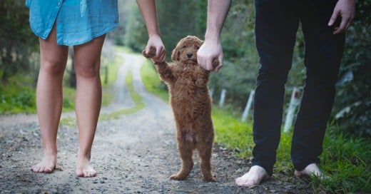 Pareja responde a presion social de no tener hijos con estas fotografías muy creativas