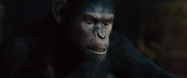Gif de una escena de la película el amanecer del planeta de los simios 
