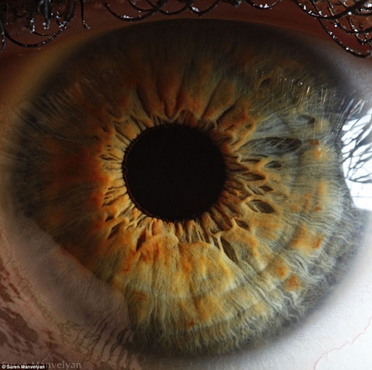 Fotografía impresionante a detalle de un ojo 