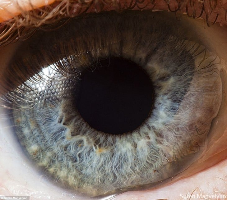 Detalle de un ojo de color azul 