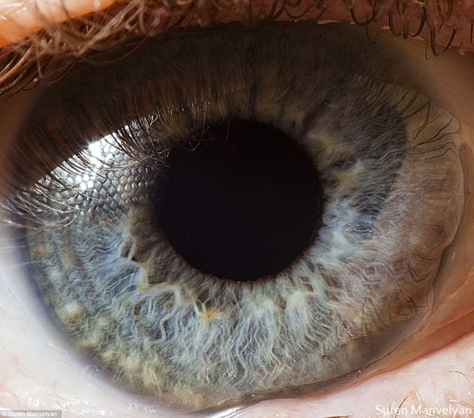 25 Fotografías De Ojos A Detalles Por Suren Manvelyan