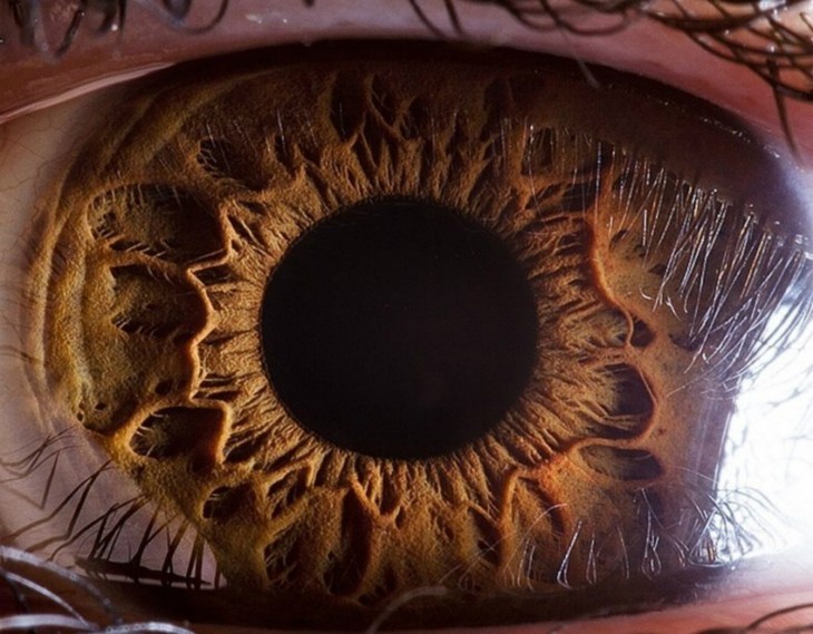 Foto a detalle de un ojo 