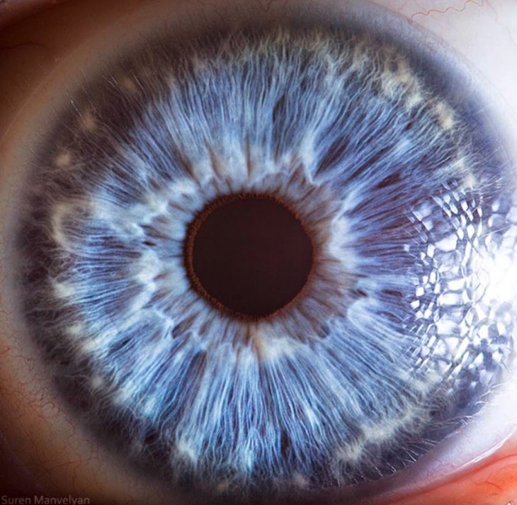 detalle de un ojo de color azul 