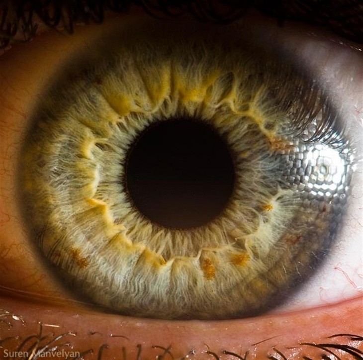 foto de un ojo humano 