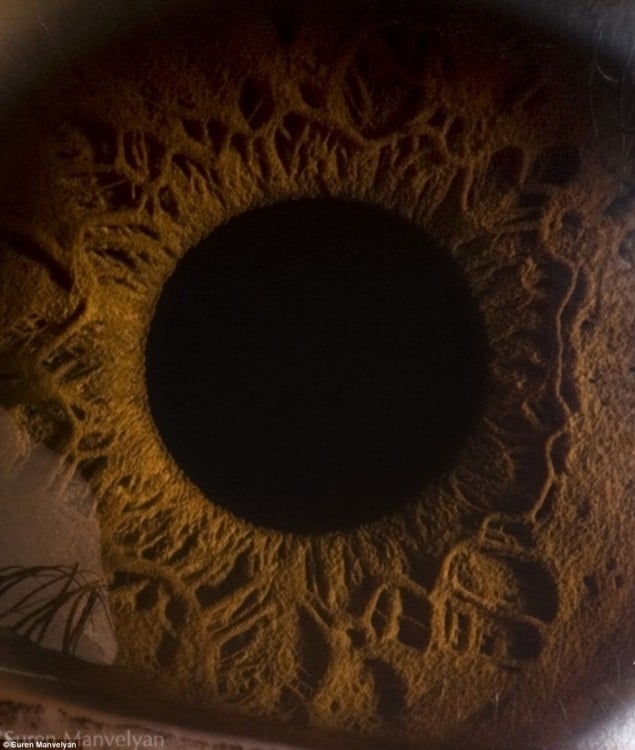 detalle en el interior del ojo 