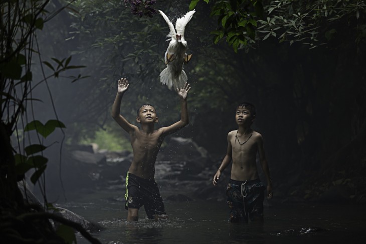 Fotografía La captura de un pato con el mérito ganador del concurso National Geographic