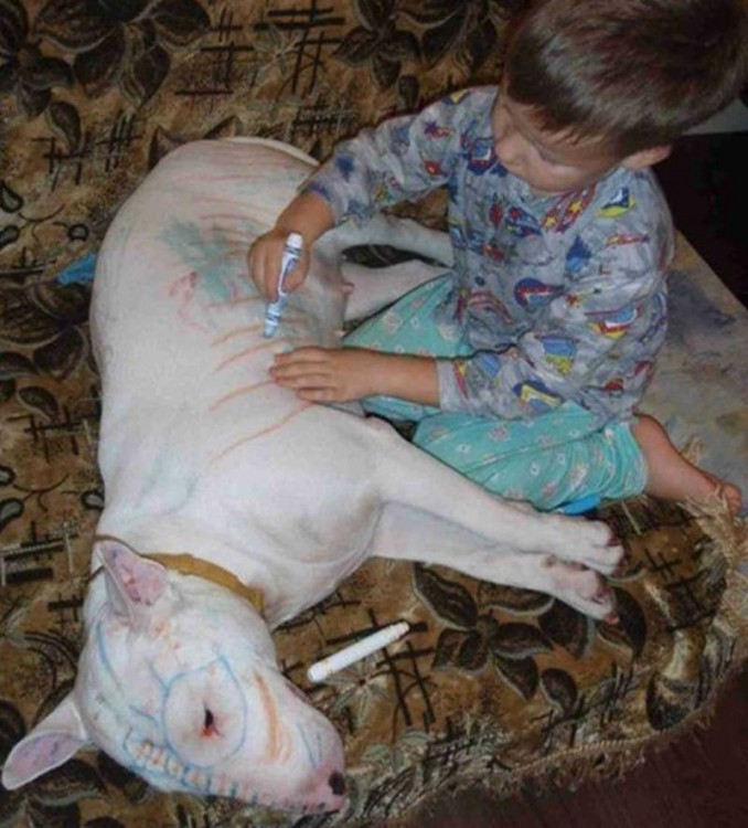 Niño dibujando con un plumón sobre un perro que esta acostado en el piso 