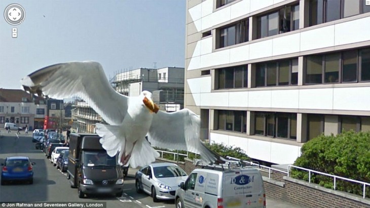 Fotos de Google Street View que parece ser una gaviota gigante volando sobre la ciudad