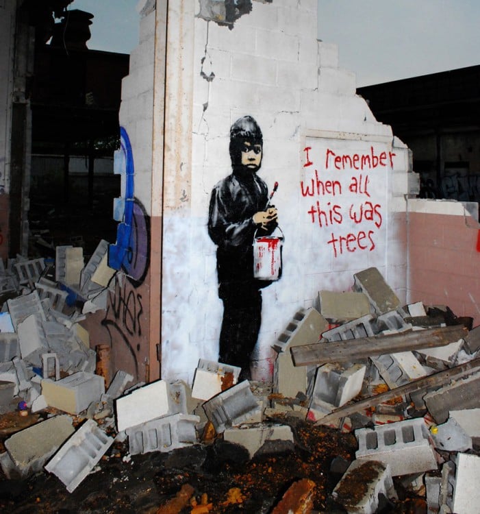 Grafiti en una casa abandonada en donde un niño tiene la frase "recuerdo cuando esto eran árboles"