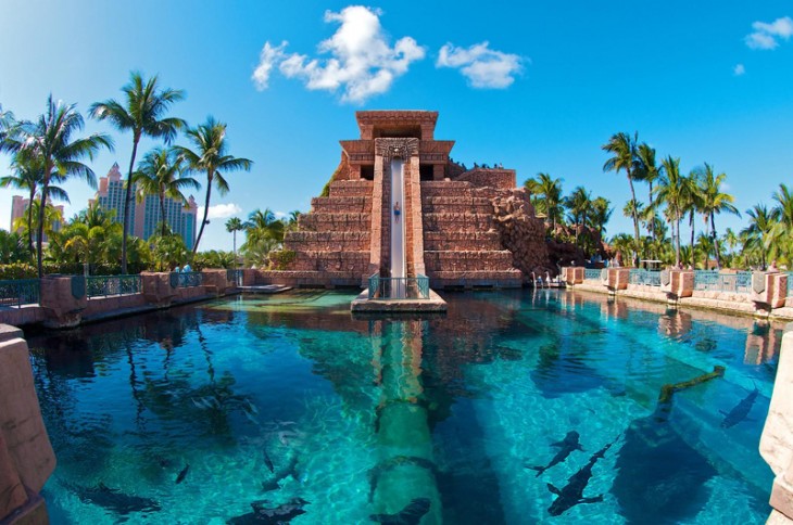 Leap of Faith en Isla Paraíso, Las Bahamas 