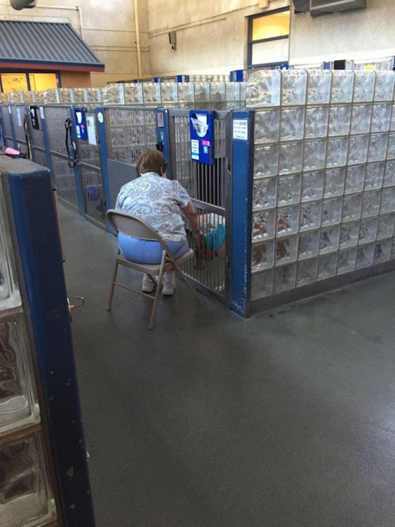 MUJER LEE LIBROS A PERROS EN REFUGIO DE PENSILVANIA