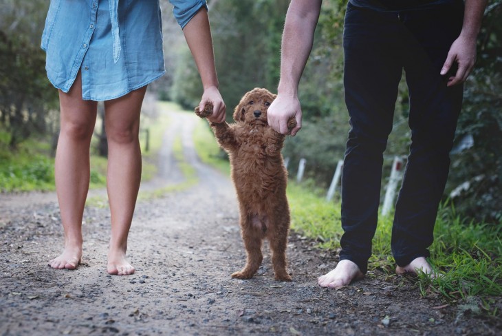 Un hombre y una mujer caminando agarrando las patas delanteras de su perro 