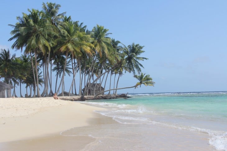 pLAYA IGUANA PANAOMA