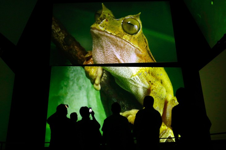 MUSEO MUNDIAL DE LA BIODIVERSIDAD