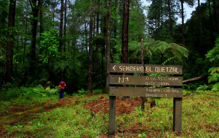 Parque Nacional Cusuco en San Pedro Sula en el norte de Honduras