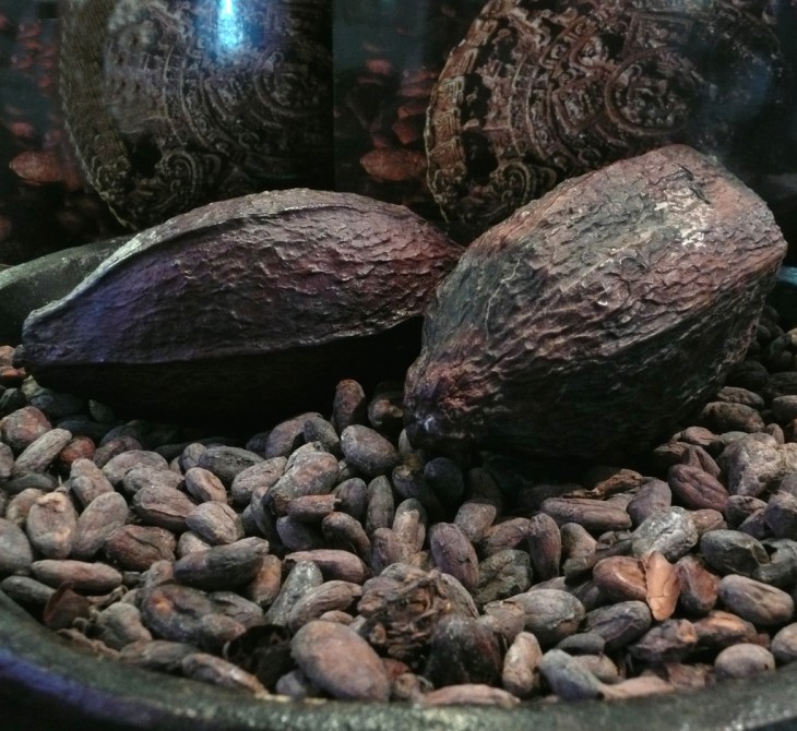 Cacao Hondureño