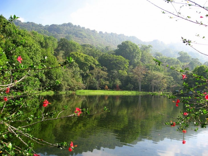 Reserva Natural Selva Negra en Matagalpa, Nicaragua 