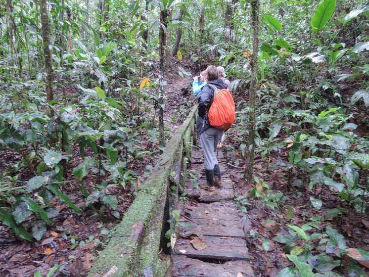 Personas visitando la Reserva Biologica Indio Maiz en Nicaragua 