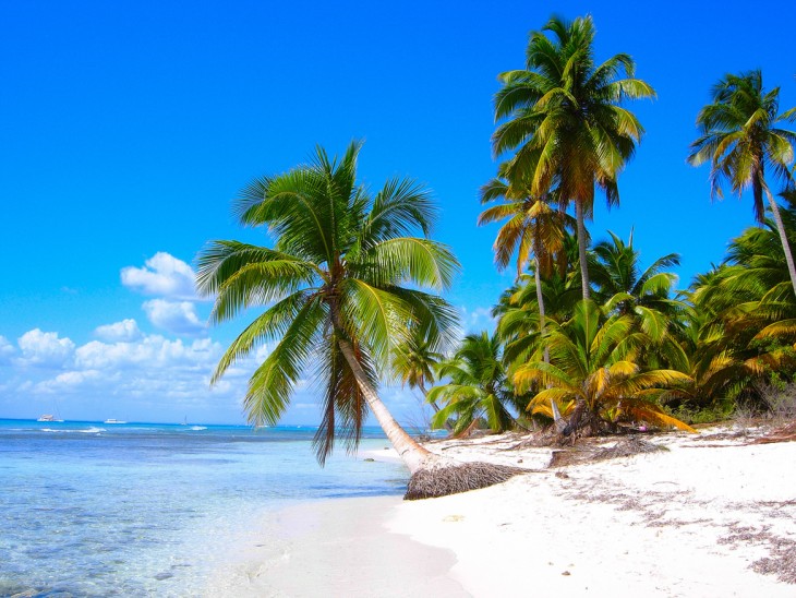 Isla Saona en la república dominicana