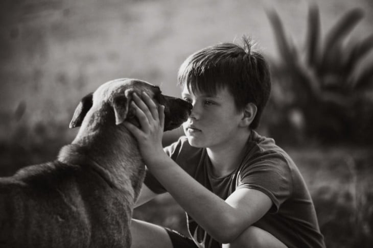 Niño acariciando la cabeza de un perro 